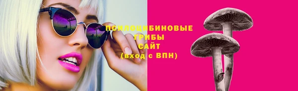 прущий лед Краснослободск