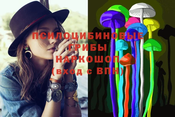 прущий лед Краснослободск