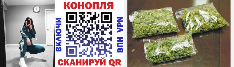 Бошки марихуана OG Kush  Пласт 